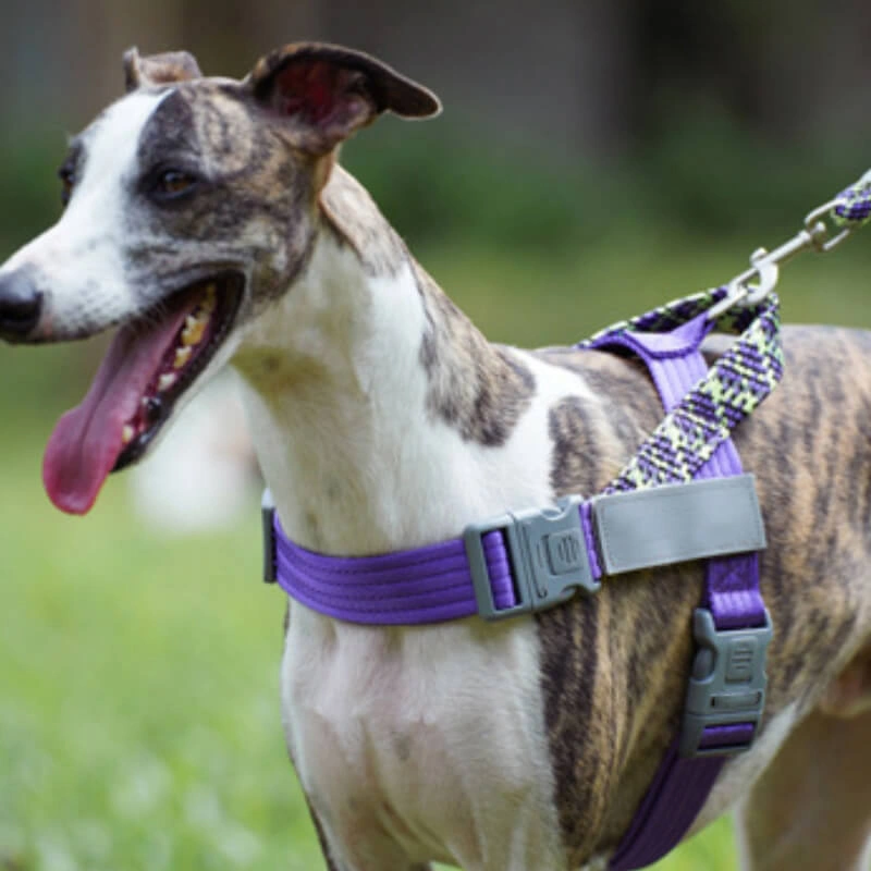 Reflective Ruff Rider Harness: Safe, Secure, & Stylish Trunk Buddy for Big Dogs!