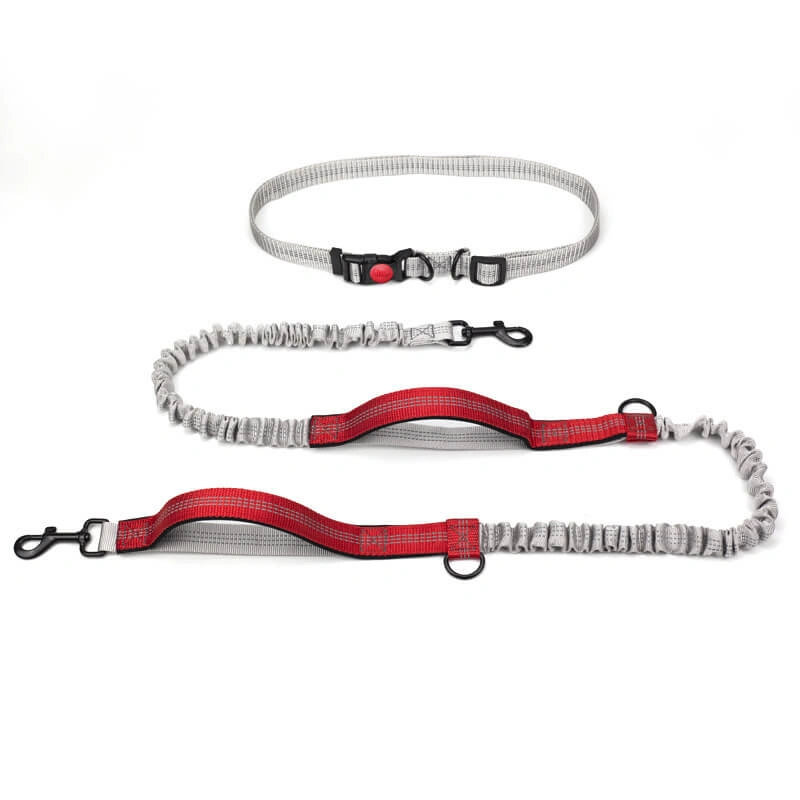 Stylish Retractable Dog Walking Leash - Effortless Walks, Happy Pup!